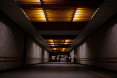 家路