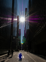 sunlight