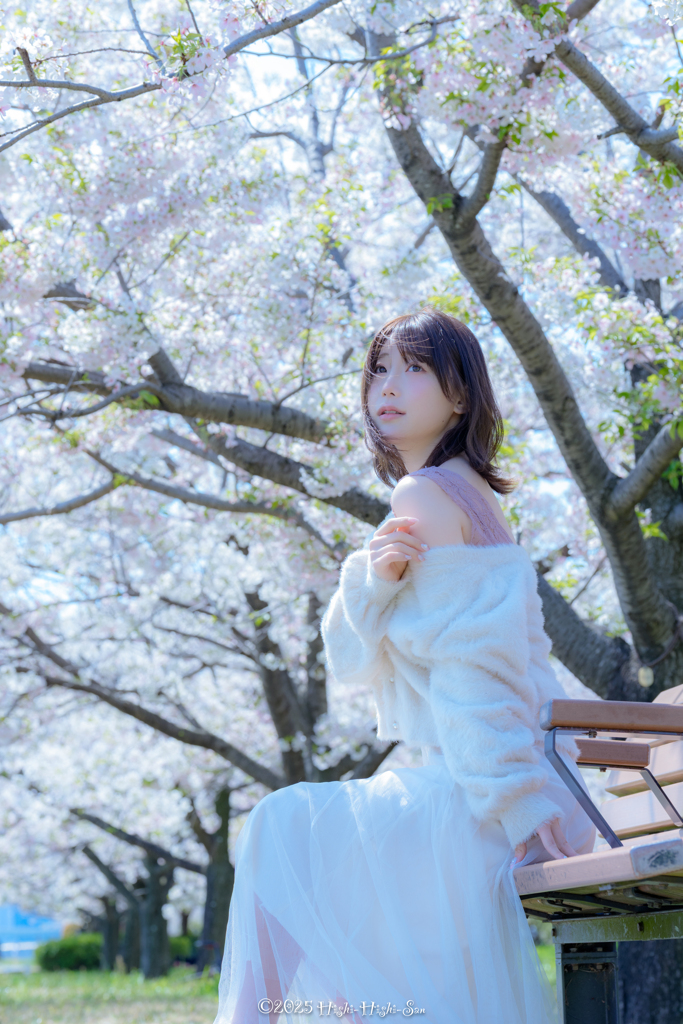 過ぎ去りし春