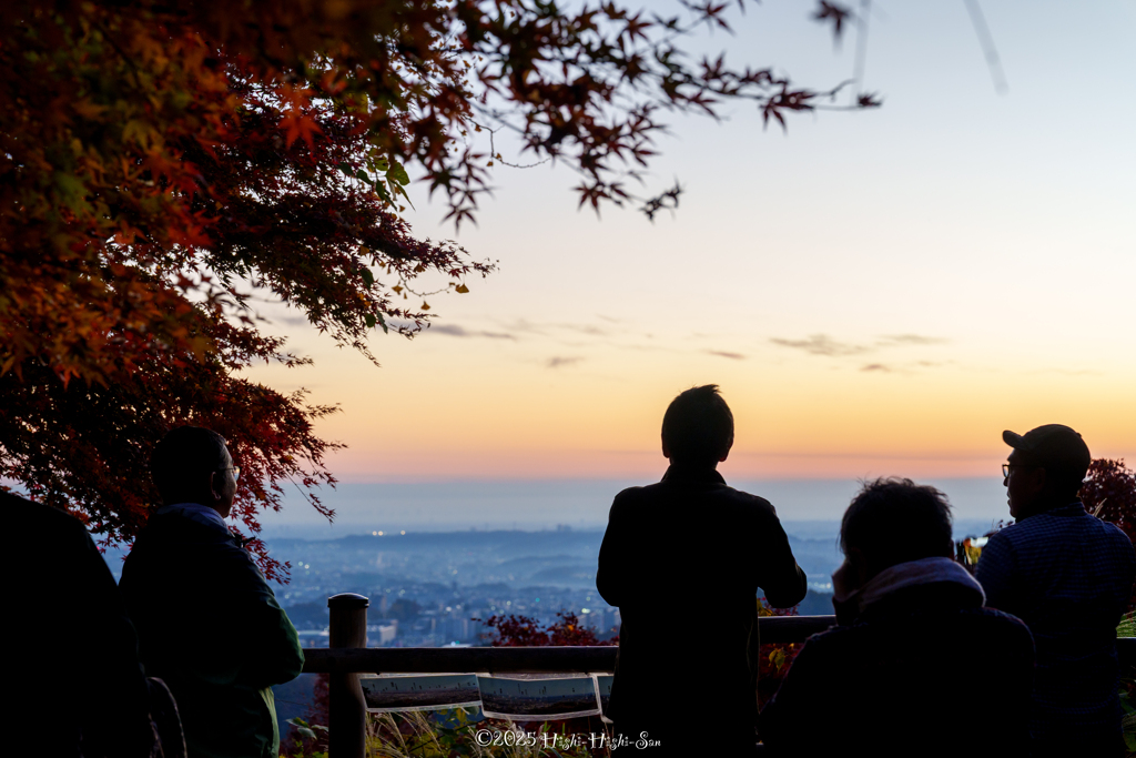 それぞれの夜明け