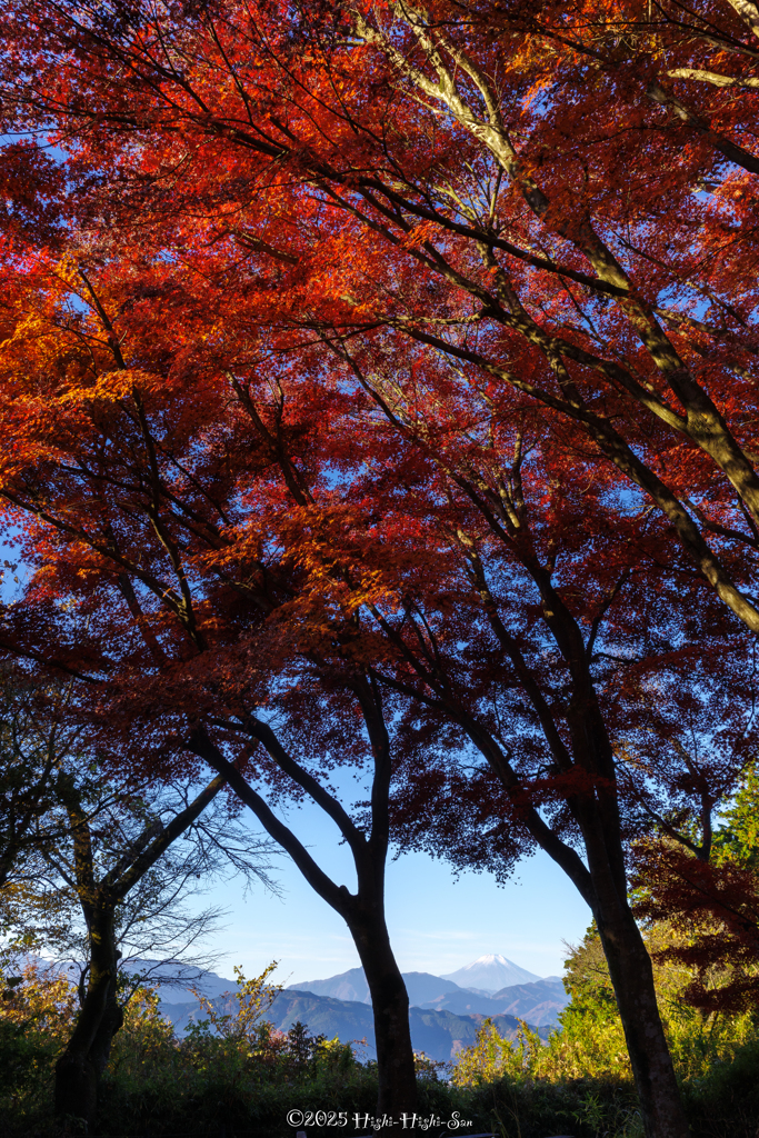 どちらが主役か . . . 