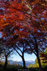 どちらが主役か . . . 