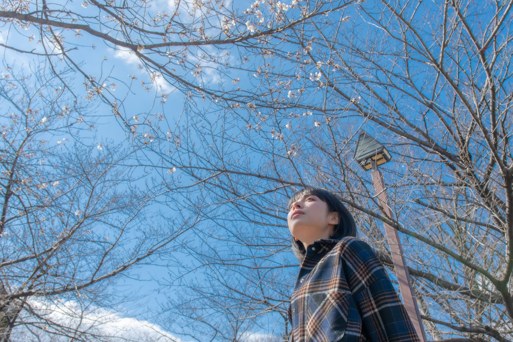 Sakura-no-saku-koro-ni