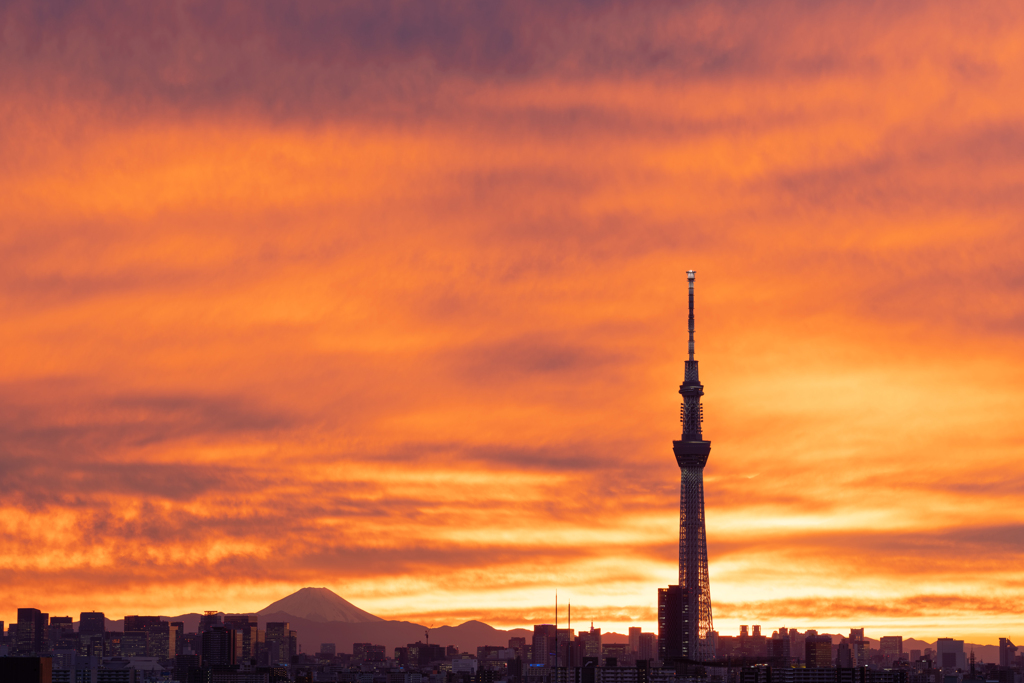 Sunset in TOKYO 〜 秋の夕焼け