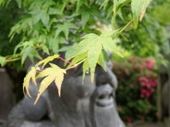 雨雫