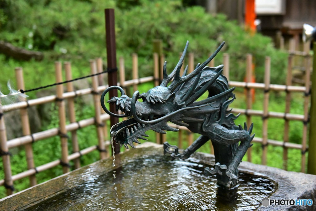 等々力渓谷　龍の雫