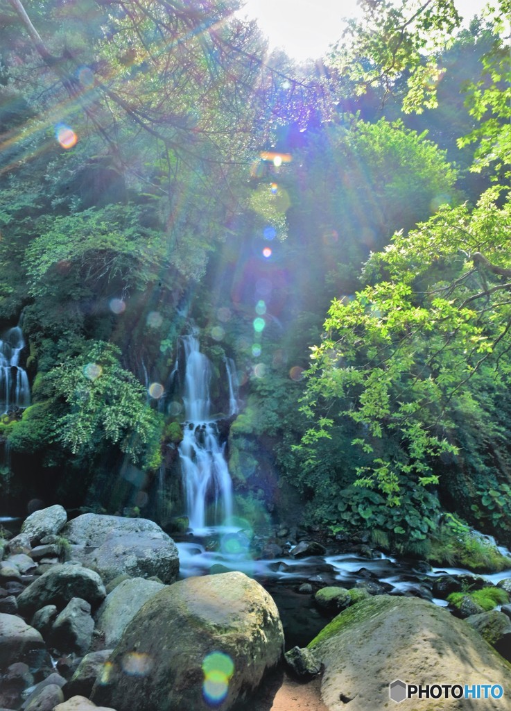 神聖な光を浴びて