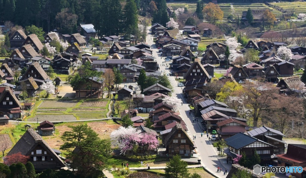 白川郷　桜と合掌村