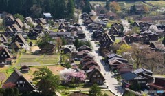 白川郷　桜と合掌村