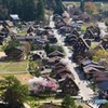 白川郷　桜と合掌村