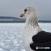 厳戒のオホーツク　君何思う？