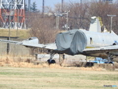 かつて飛行機行機だったもの