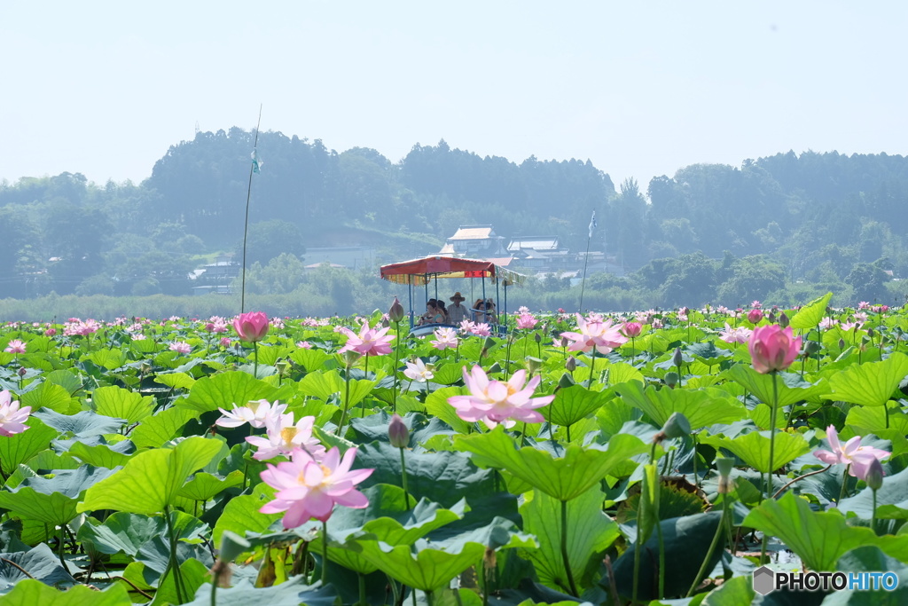 天国に一番近い場所