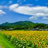 梅雨の晴れ間