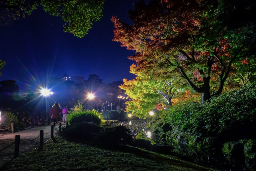 栗林公園 秋のライトアップ