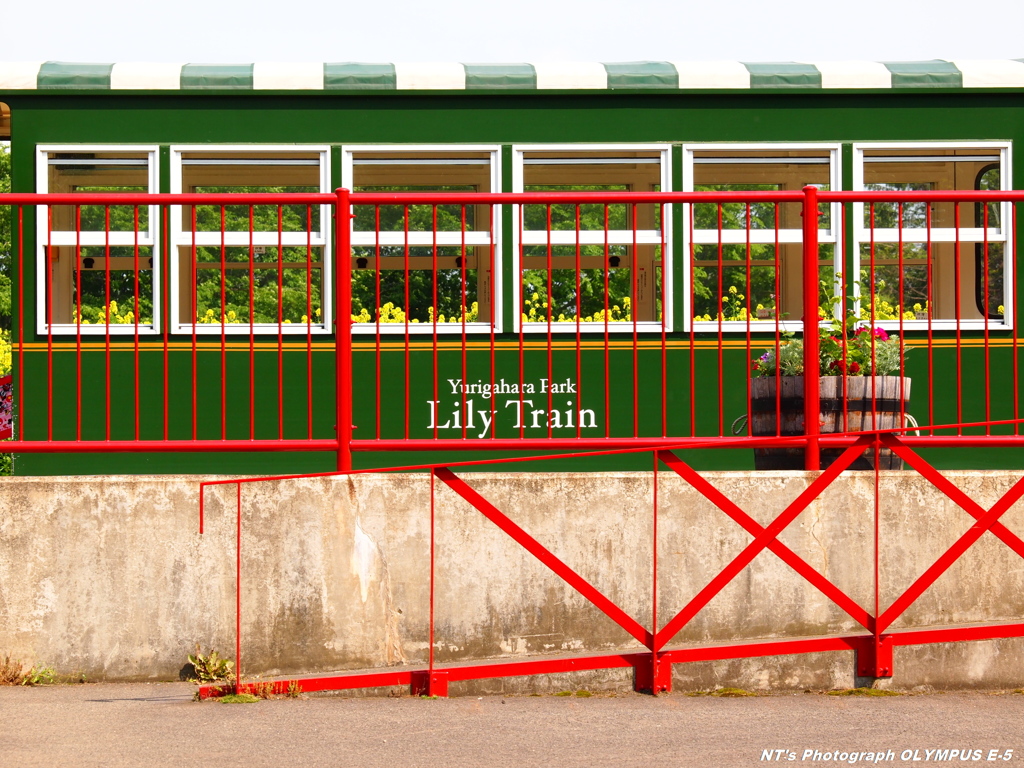Yurigahara Park -Lily Train-