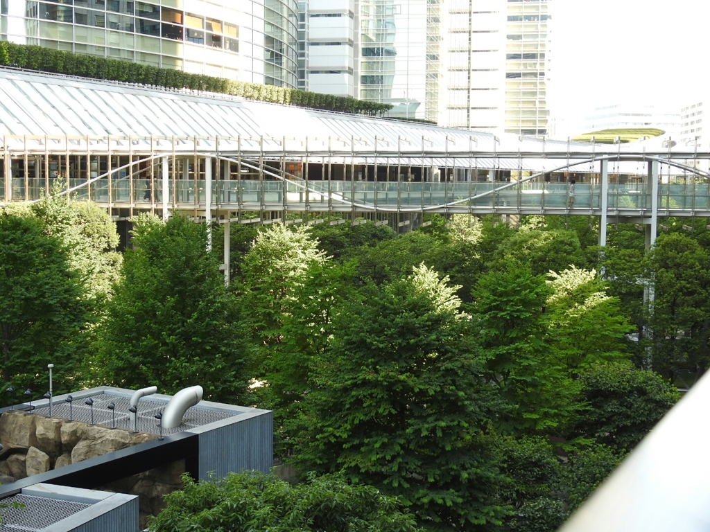 都会の森