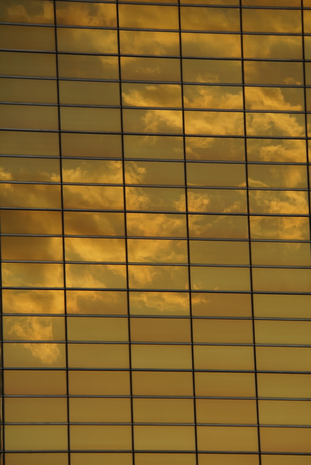 夕焼け、そして…