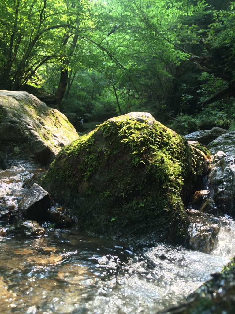 白谷沢の風景