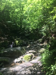 白谷沢の風景