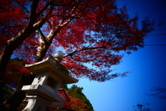 東郷公園2