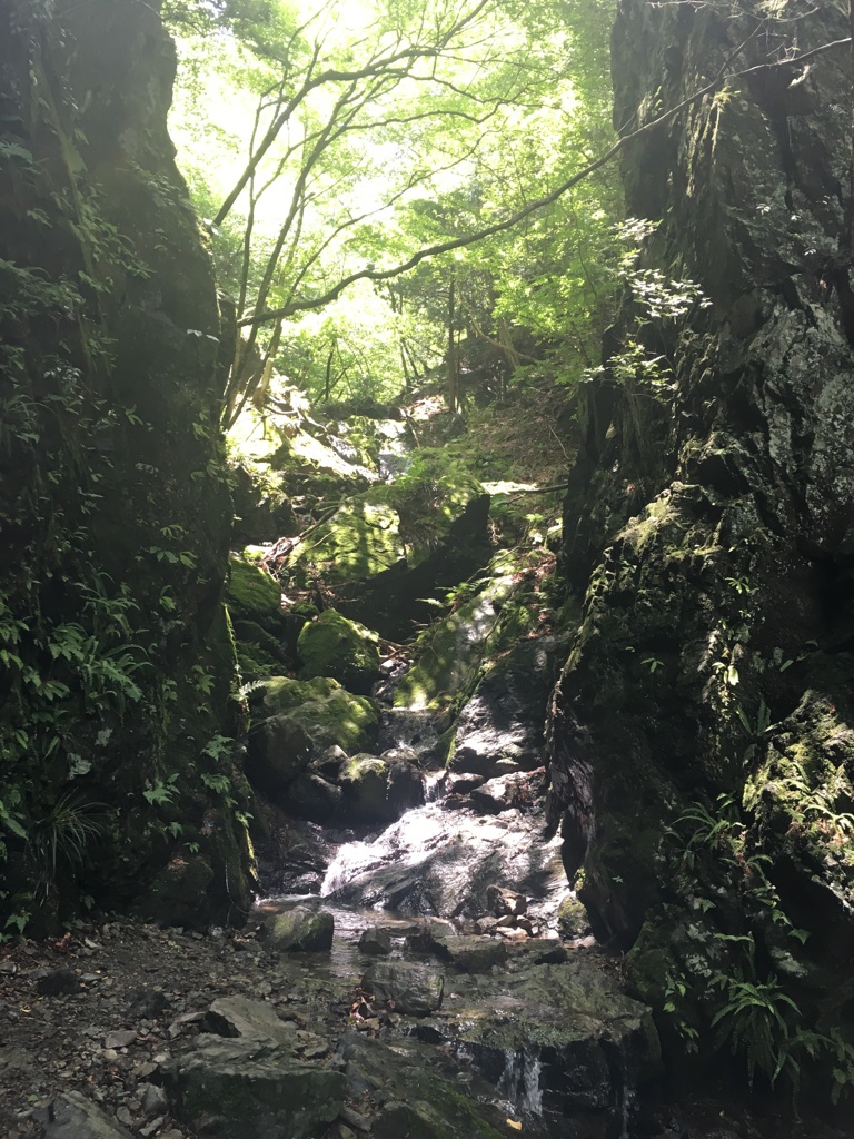 白谷沢の風景