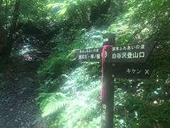 登山道途中