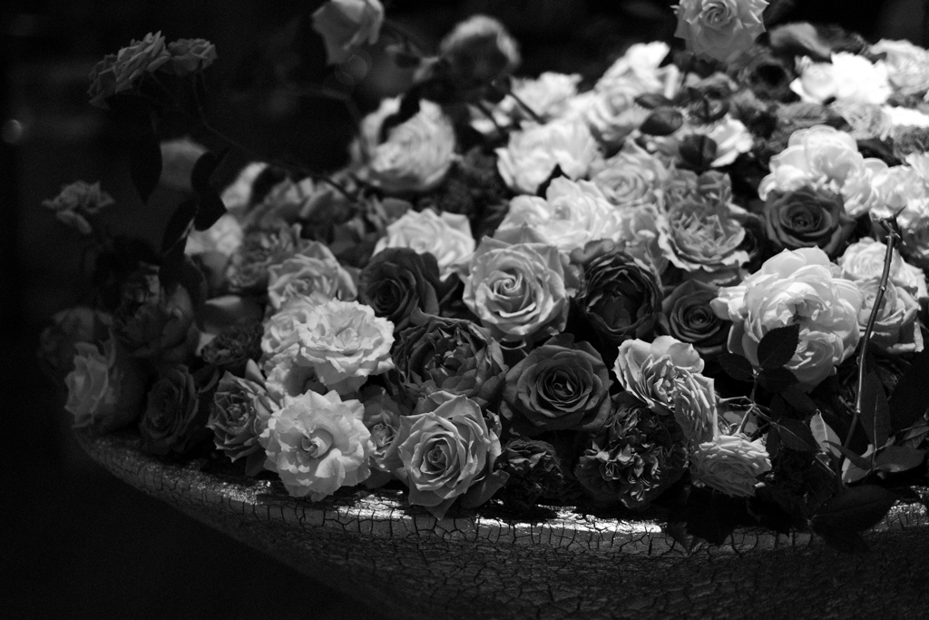 薔薇