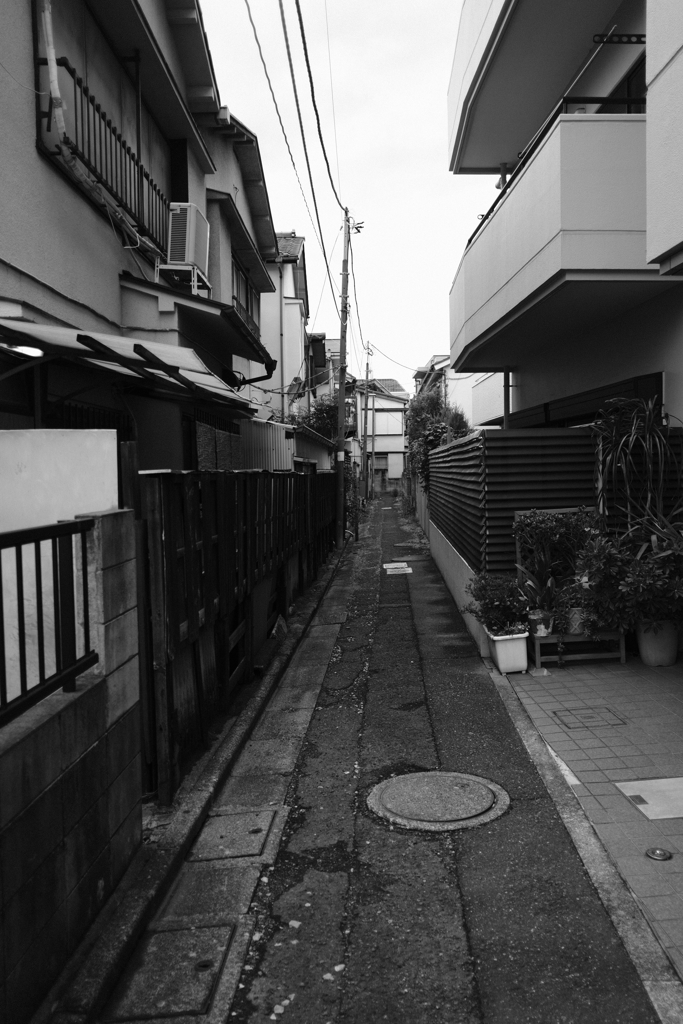 きになる脇道