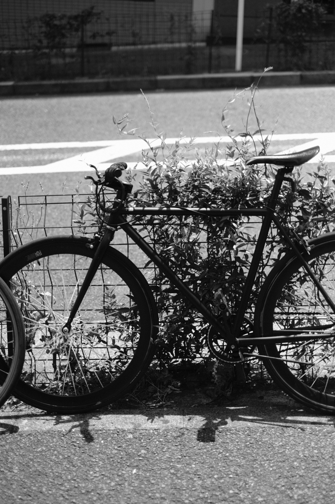 スマートな自転車