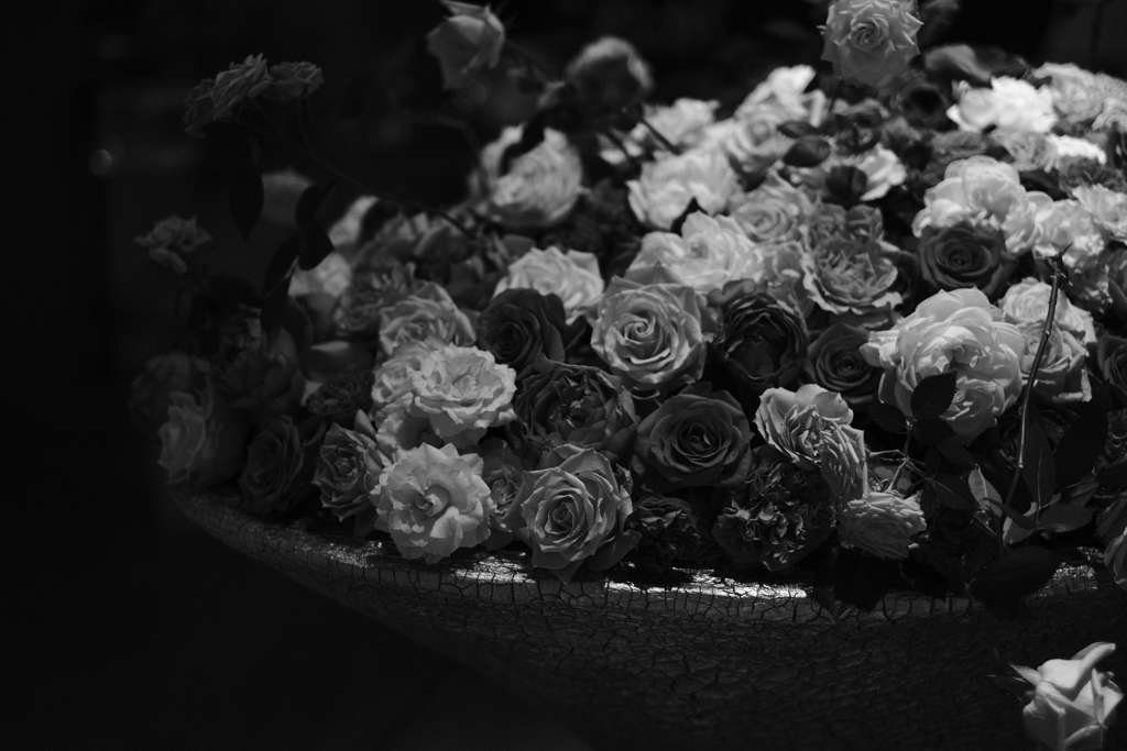 薔薇