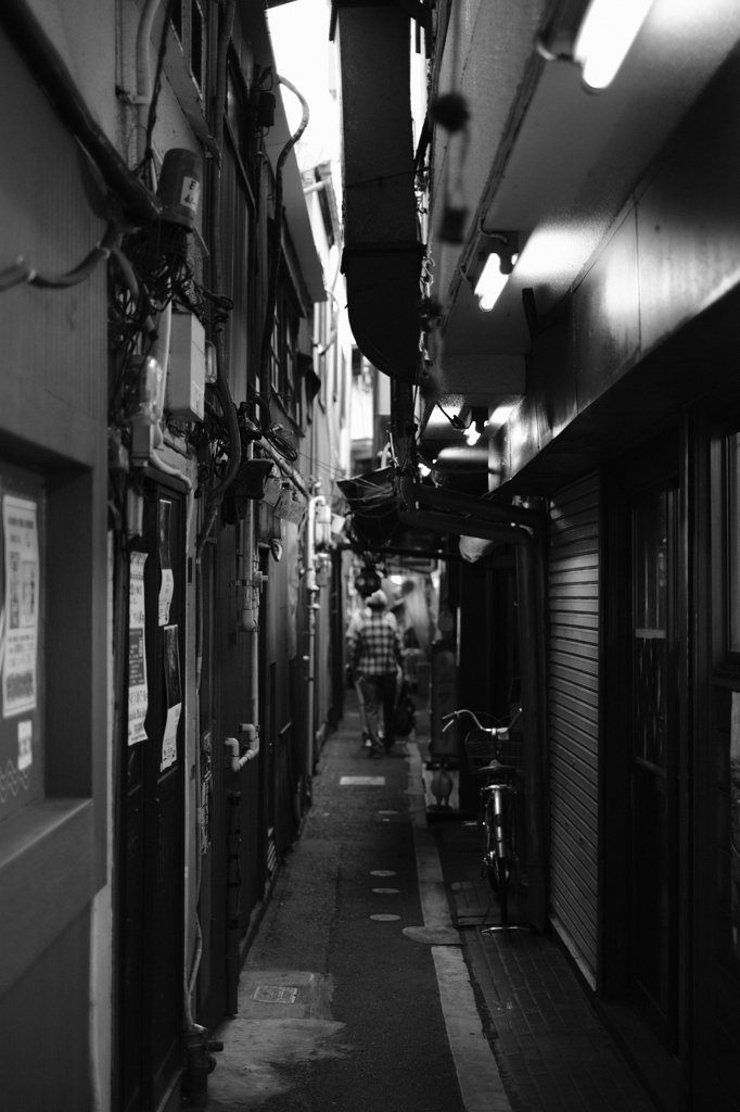ハモニカの風景