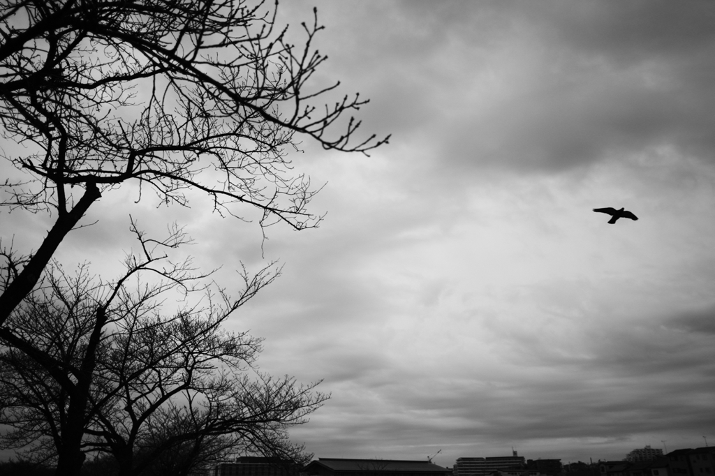 朝曇りの空