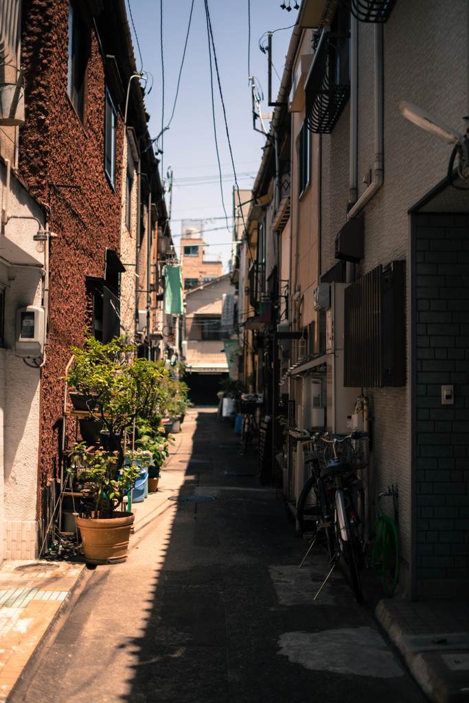 通りすがりの細道