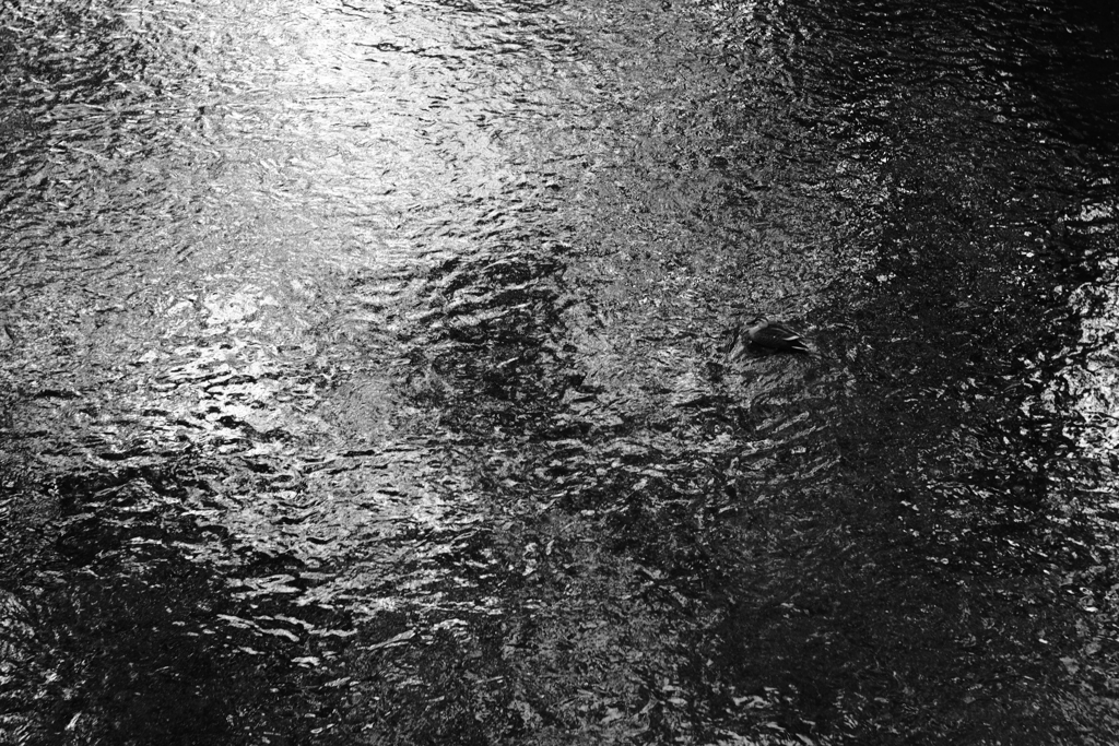 黒い水面