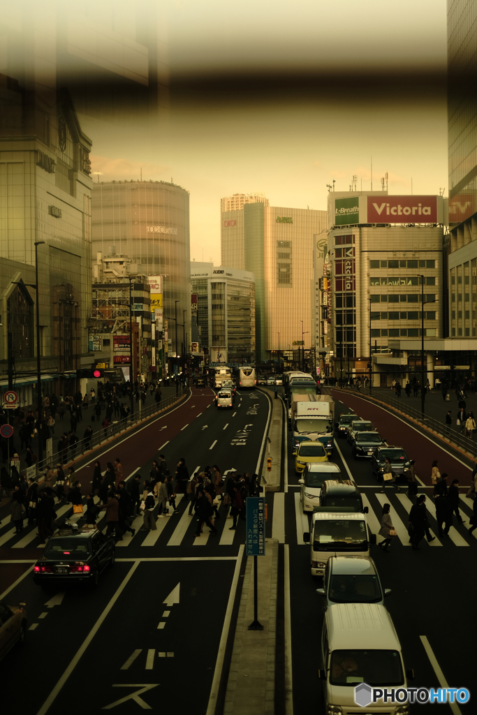 橋の上から