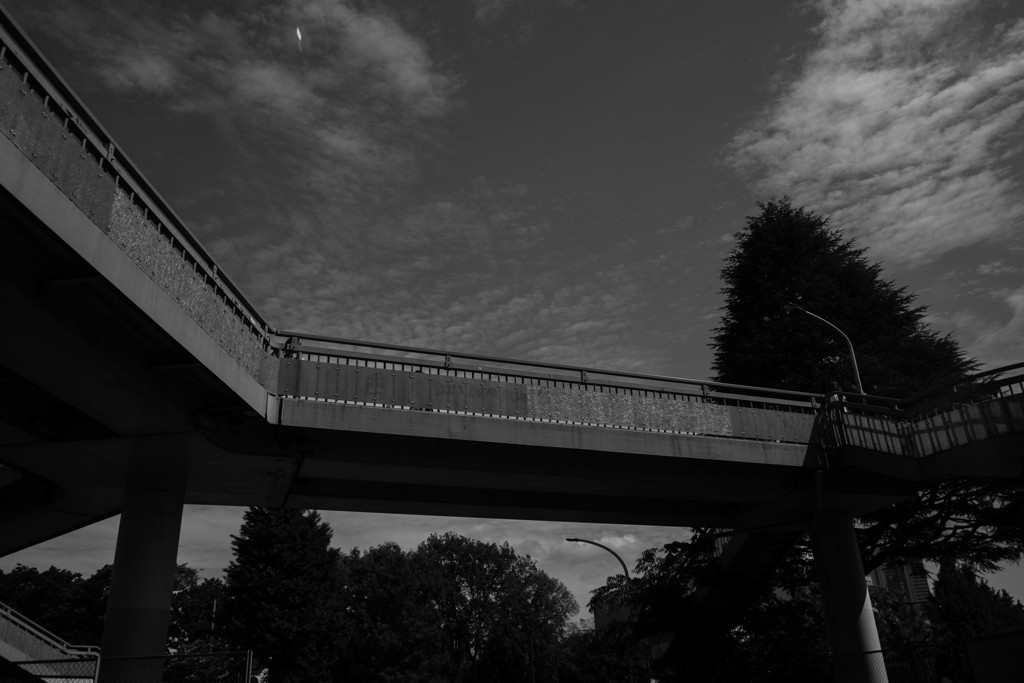 あの歩道橋