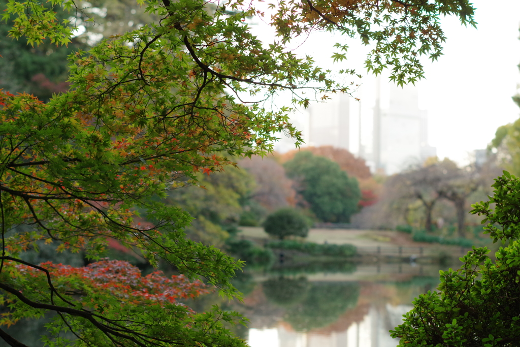 新宿御苑