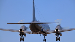 入間基地　YS-11