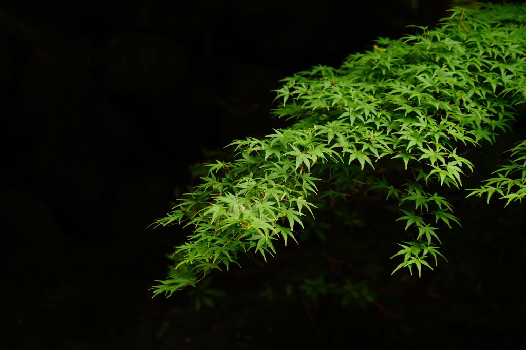 静寂