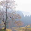 朝霧の架け橋