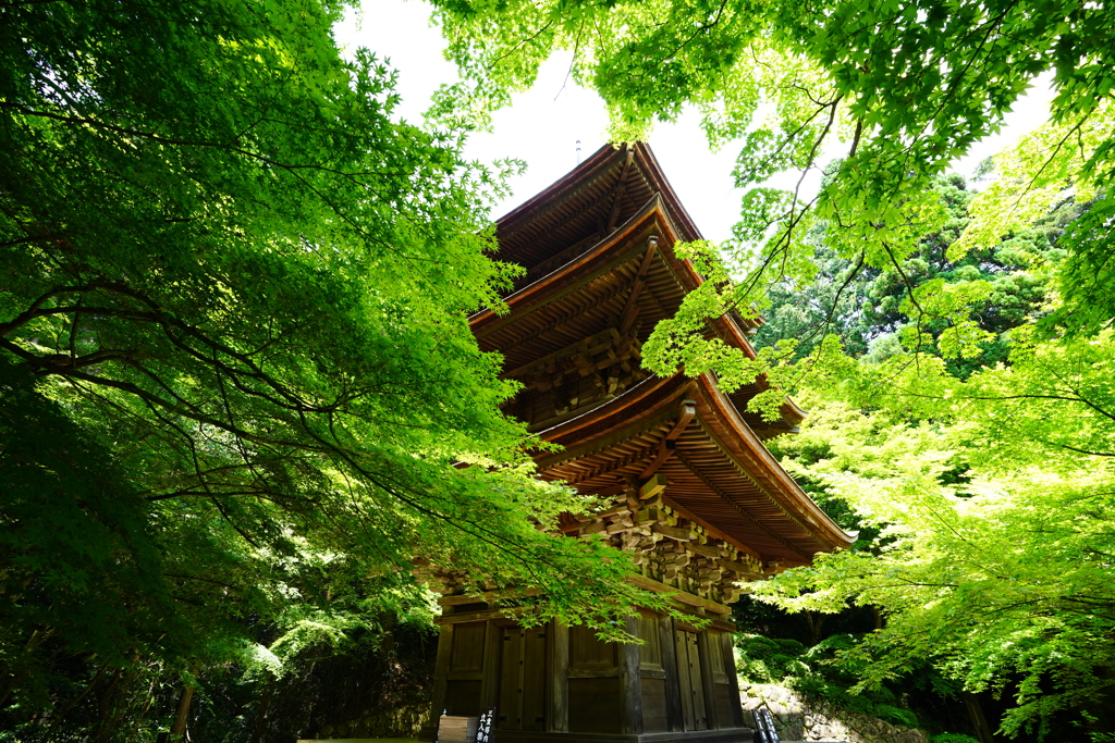 湖東三山　金剛輪寺