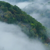 峠は雲海の中