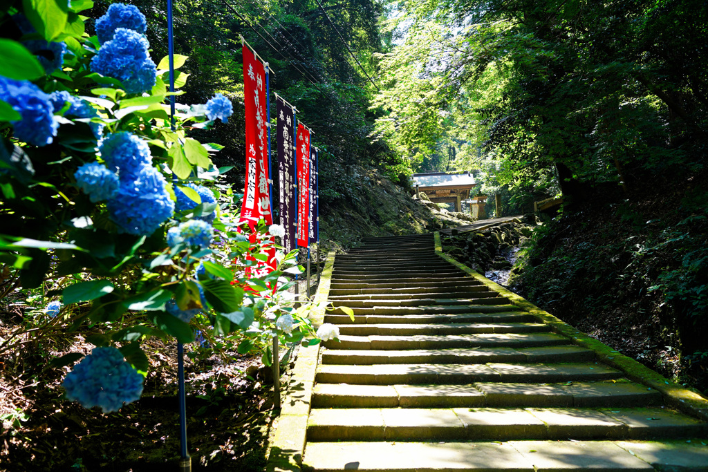 山門が見える