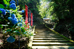 山門が見える