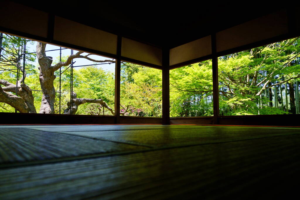 大原　法泉院