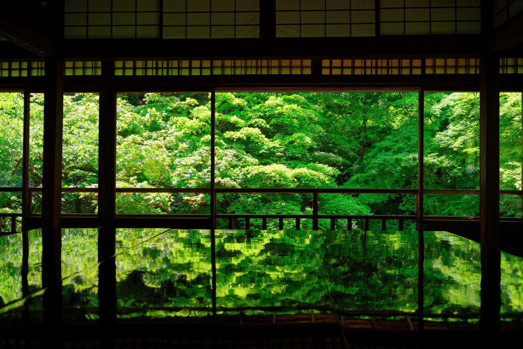 新緑　瑠璃光院