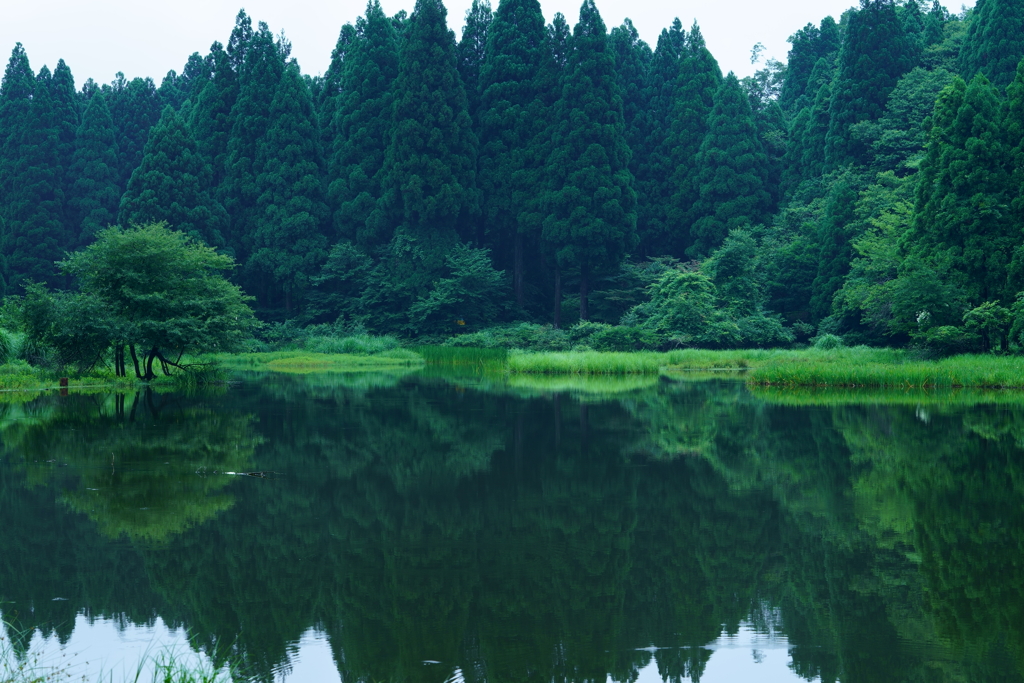 静寂な水源池