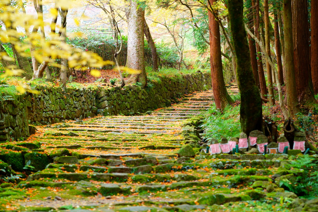 紅葉を求めて