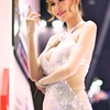 MOTOR SHOW